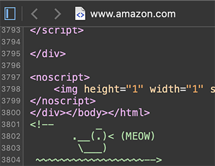 Amazon ASCII Art